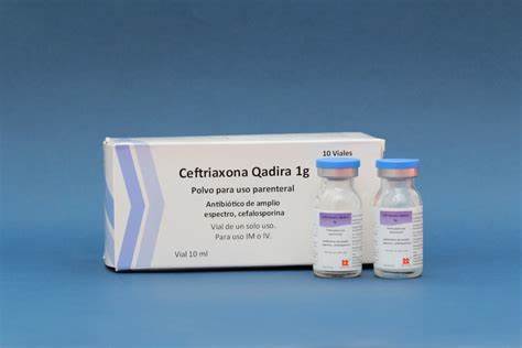 Ceftriaxona Quiadira 1gr Vial Inyectable 